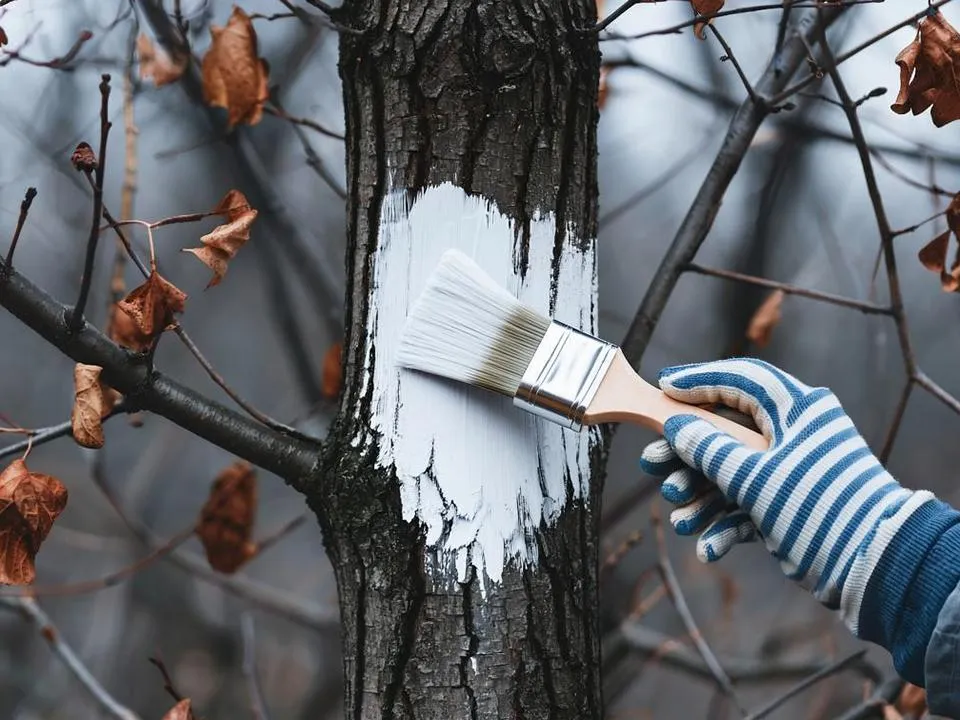 Сезон не закончился: что нужно успеть сделать в саду и огороде до конца ноября