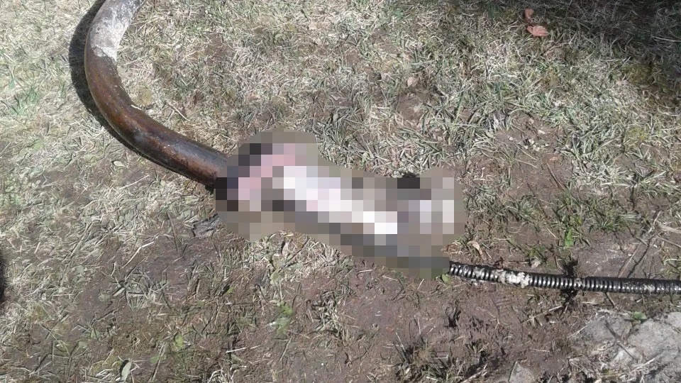 Фото: ООО «ДГХ»