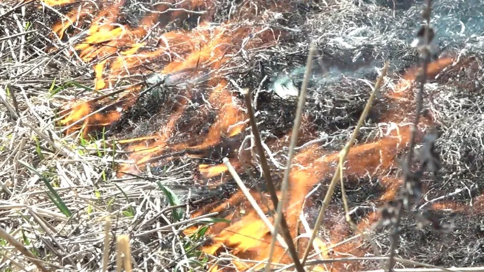 Фото: МедиаБанк Подмосковья/Н. Надточая