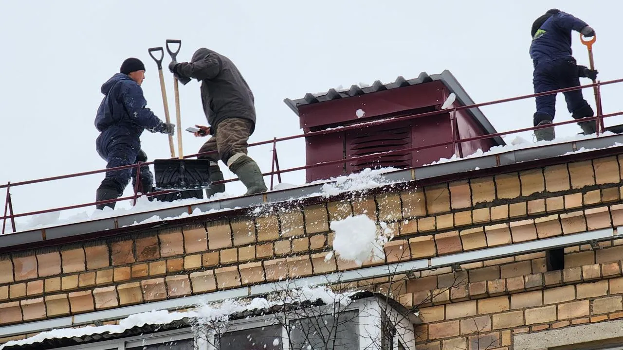 REGIONS/Ольга Аввакумова