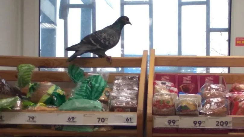 Фото соцсети.