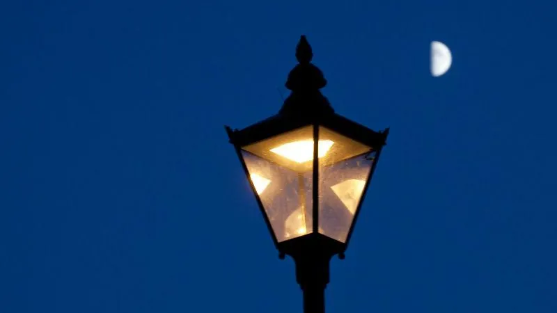 Голосование по выбору проектов для создания освещения проходит на сайте «Добродел»