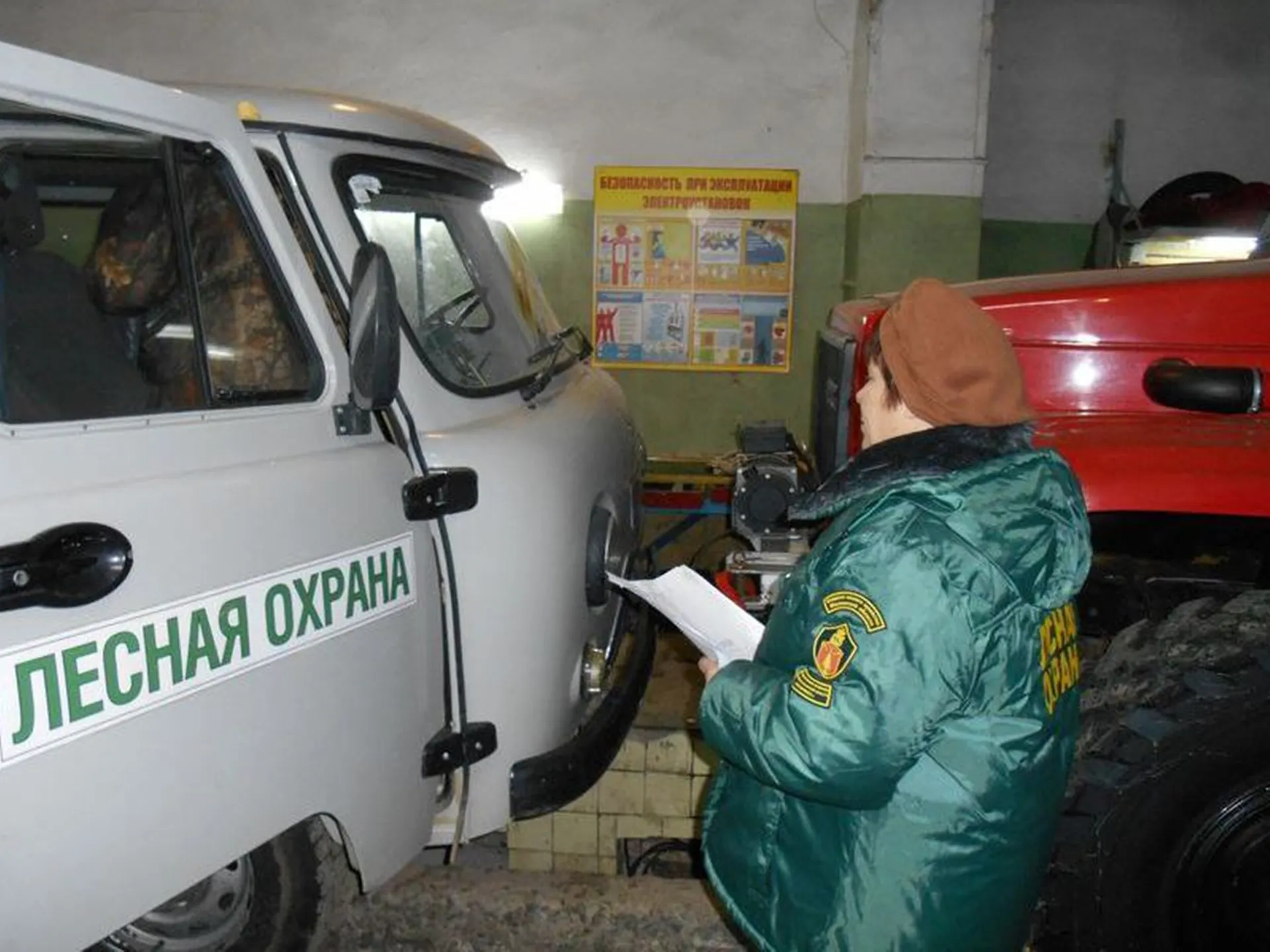 Фото: филиал «Русский лес» ГАУ МО «Мособллес»