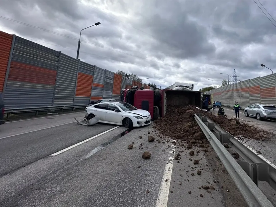 Фото: пресс-служба ГУ МВД России по Московской области