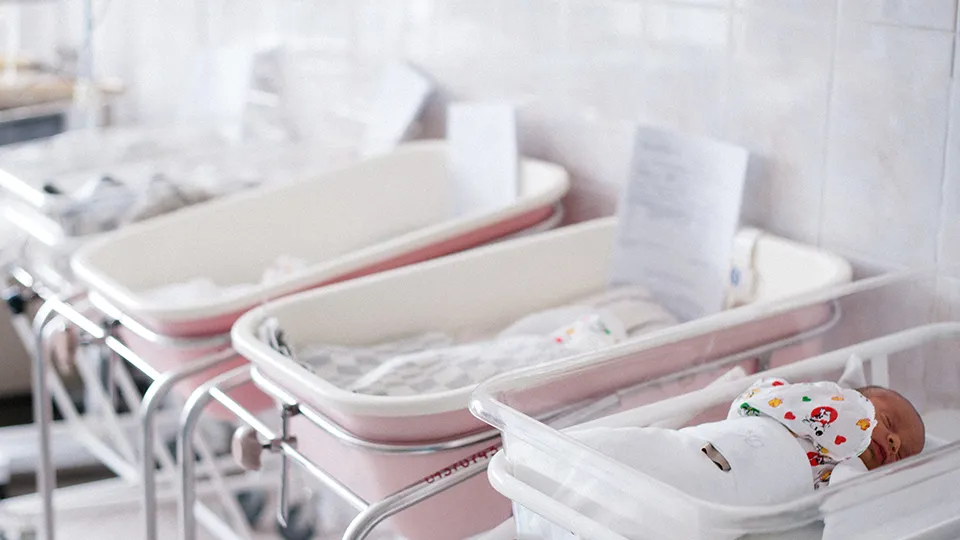 Фото: медиасток.рф