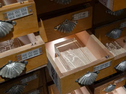 При создании проекта Дарьи Неретиной «Пост-культурные: в тени». Фото:&nbsp;арт-резиденция «Гало»