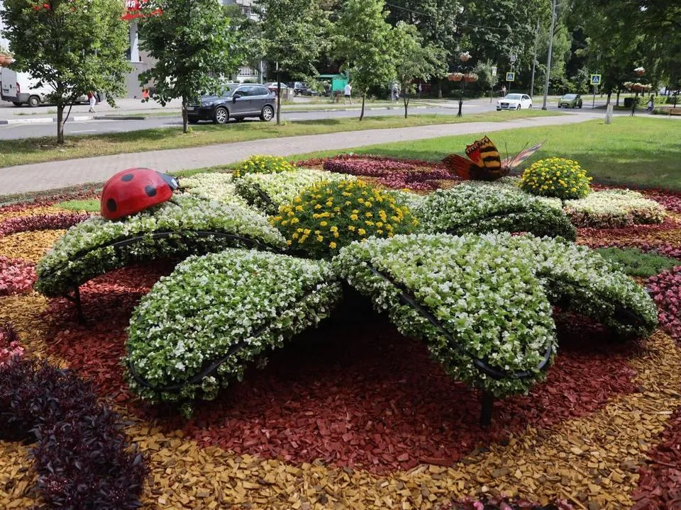 Фото: администрация городского округа Королев