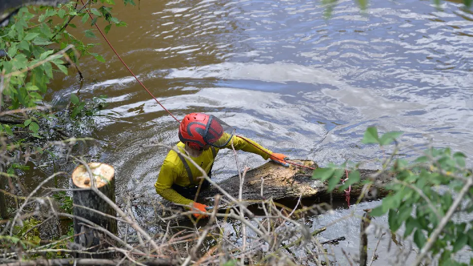 Фото: пресс-служба администрации м.о. Дмитров