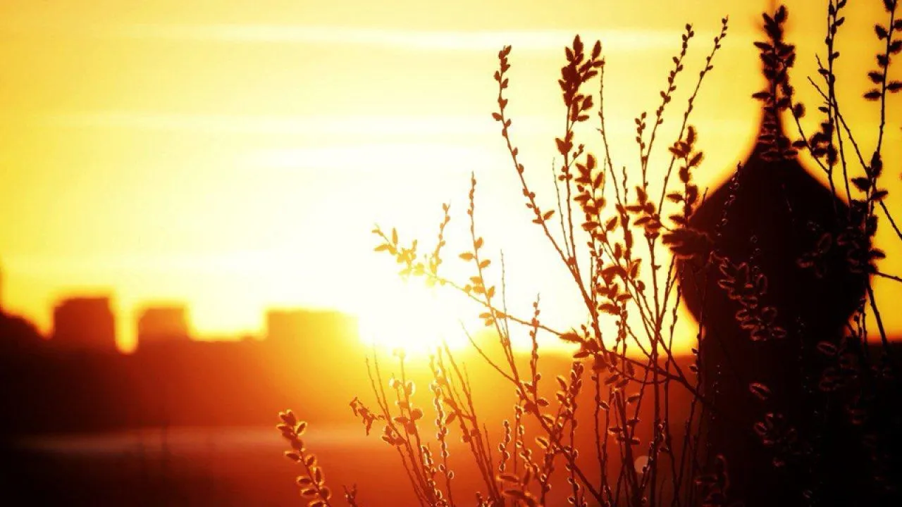 REGIONS/Владимир Ерастов