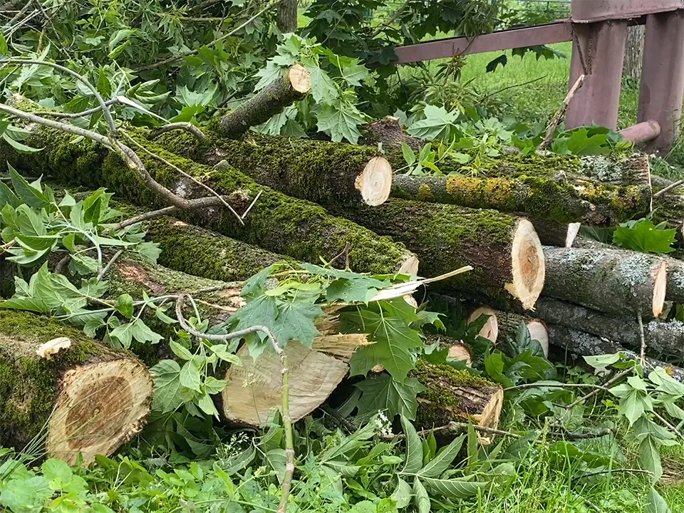 Фото: REGIONS/Елена Аботурова