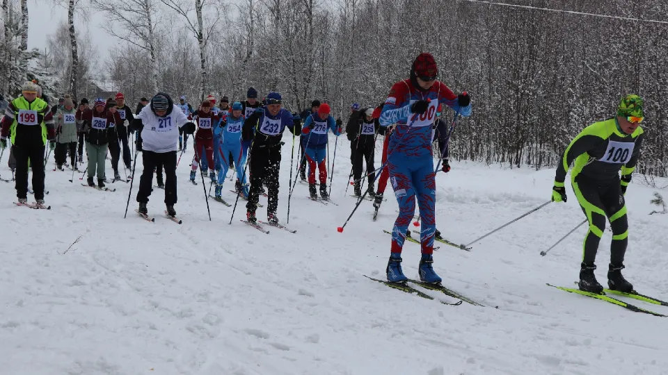 Фото: REGIONS/Виктория Гордеева