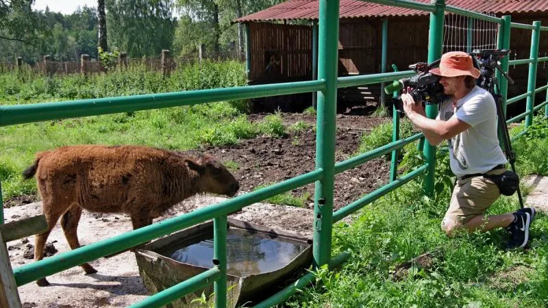 Серпуховские зубры стали героями арабского фильма