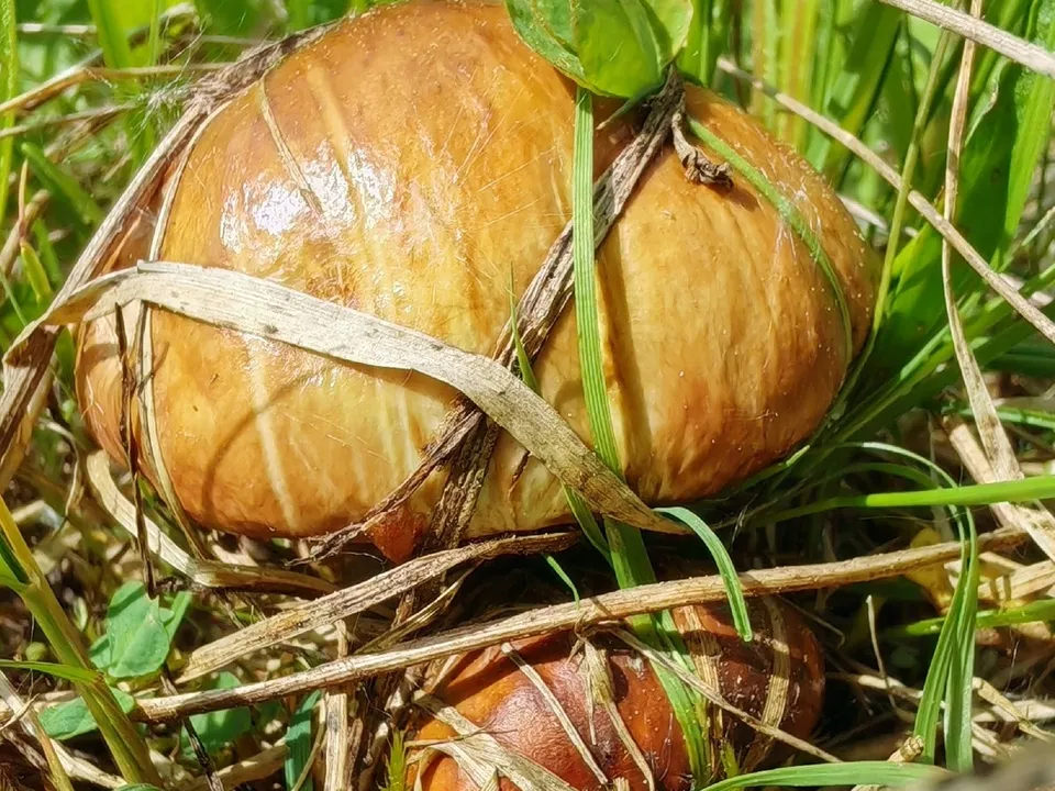 Фото: Константин Кошелев