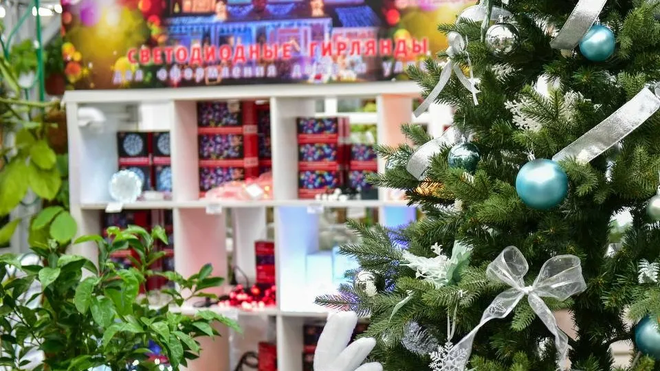 Фото: пресс-служба администрации г.о. Химки