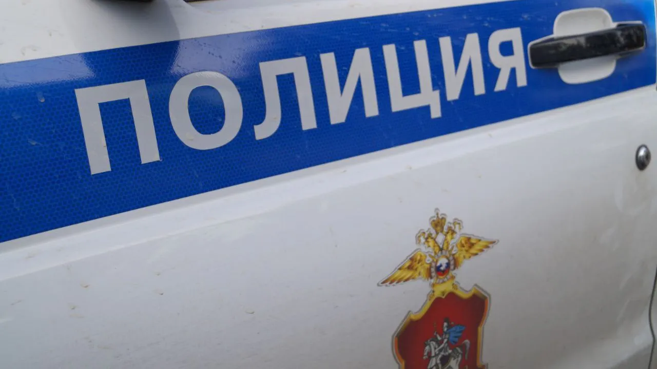 Фото: пресс-служба ОМВД Талдомского г.о.