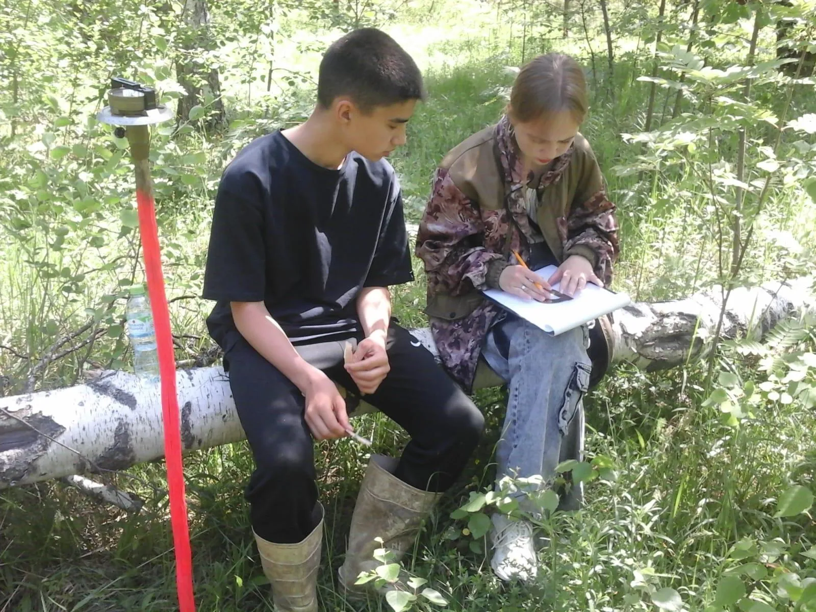 Фото: Комитет лесного хозяйства Московской области&nbsp;&nbsp;