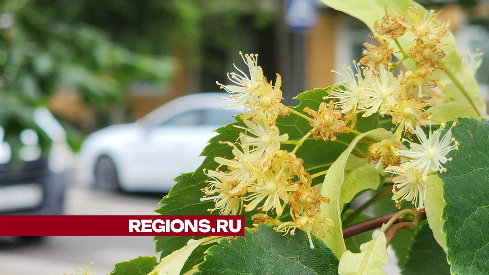 Фото: Андрей Семибратов