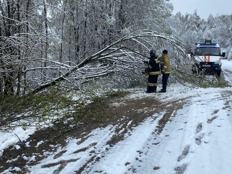 Фото: ГКУ МО&nbsp;«Мособлпожспас»