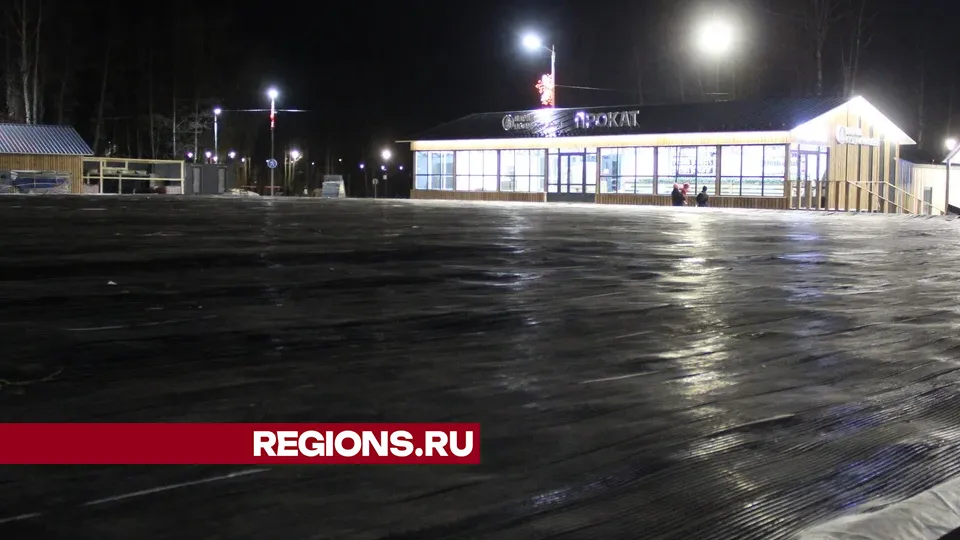 Фото: REGIONS/Василий Тремасов