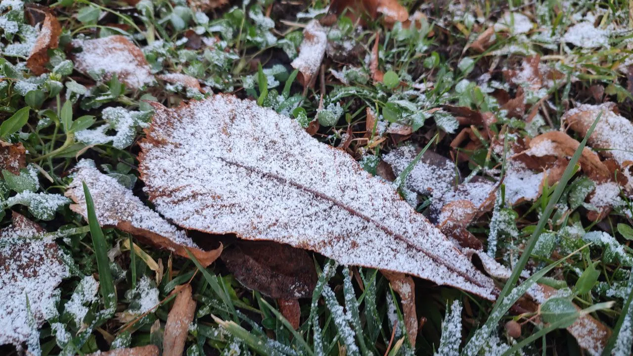 Фото: REGIONS/Елена Забелина