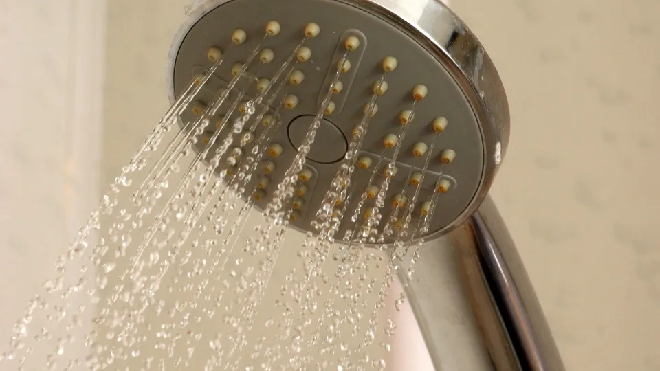 Фото: pxhere.com