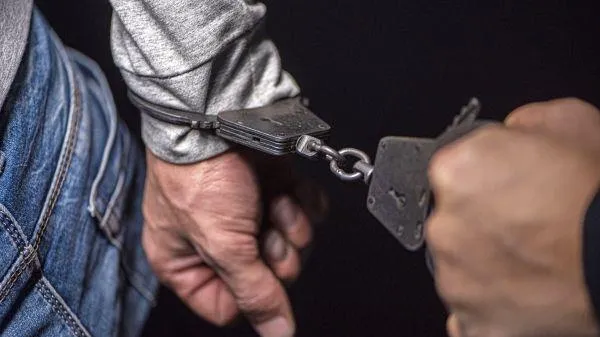 Полицейские поймали похитителя металлического листа в Подмосковье