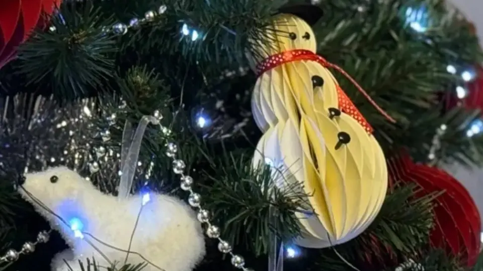 Фото: REGIONS/Дарина Левкина