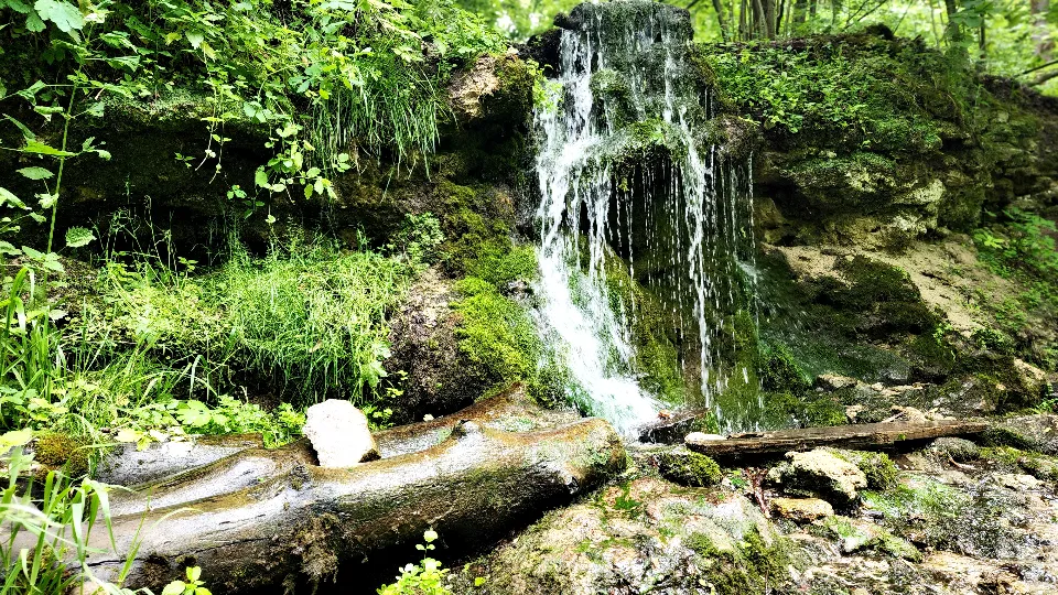 Фото: МедиаБанк Подмосковья/Мария Панина