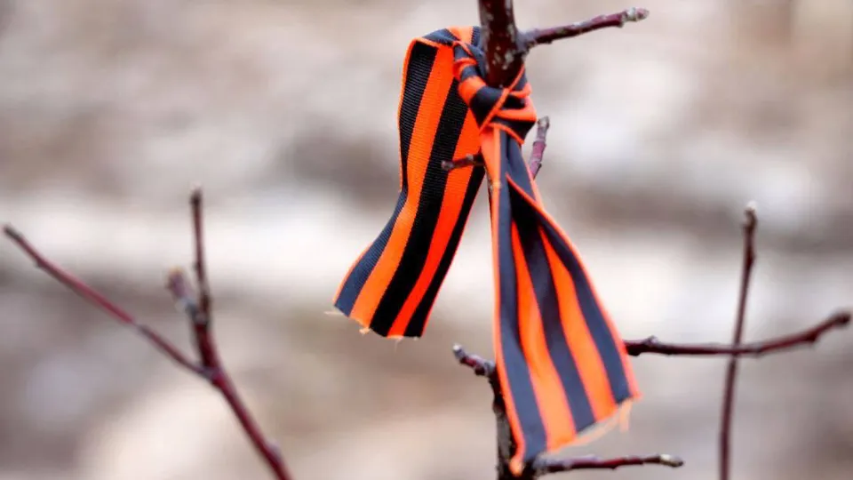 Фото: МедиаБанк Подмосковья/Дмитрий Зайчиков