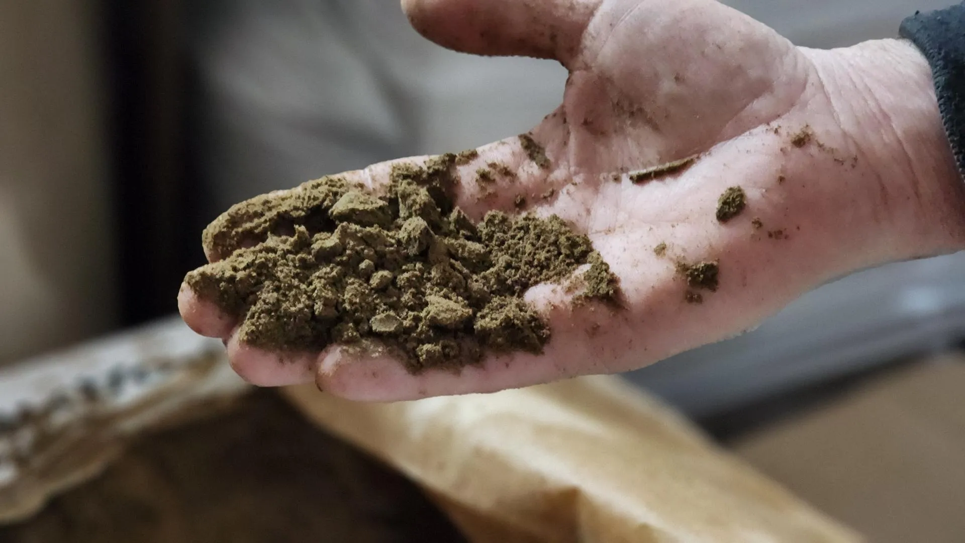 REGIONS/Роман Кутузов