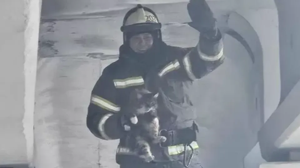 Фото: ГКУ МО «Мособлпожспас»