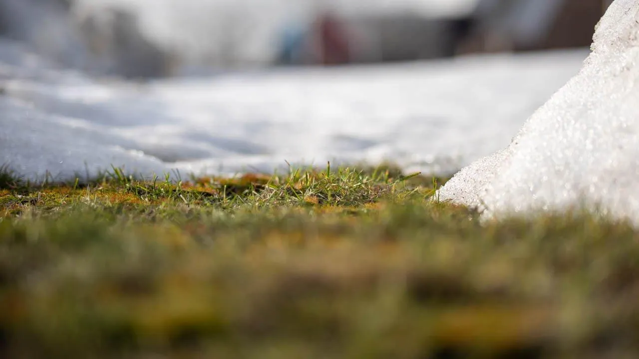 REGIONS/Владимир Ерастов