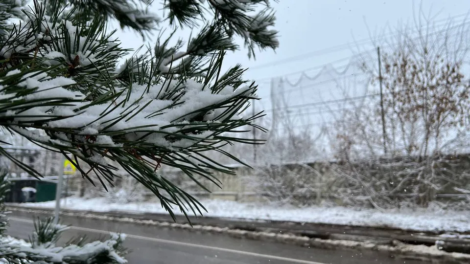 Фото: REGIONS/Елена Фурман