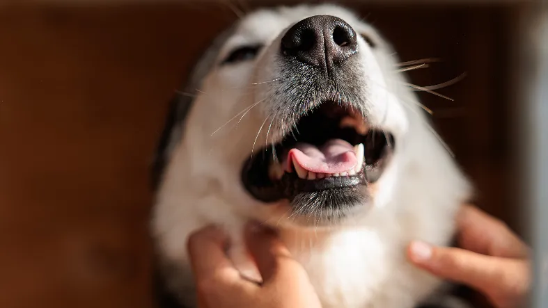 Фото: медиасток.рф