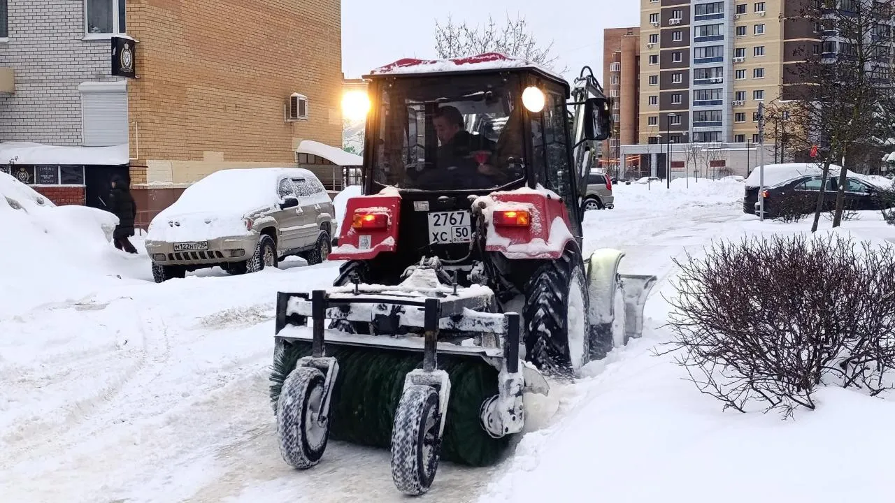 REGIONS/Полина Пахомова