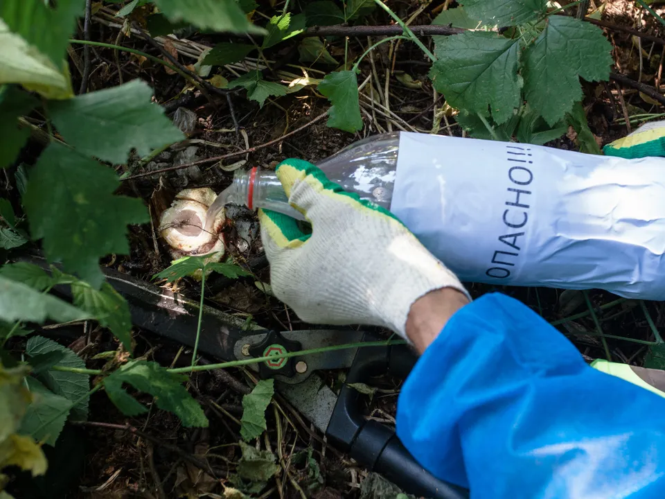 Фото: ТАСС/Роман Храмовник