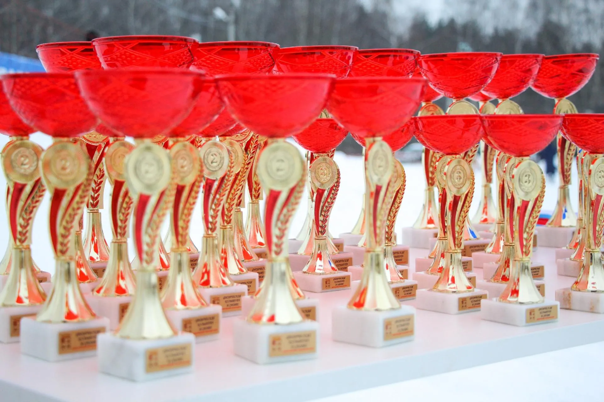 Фото https://vk.com/czvs2020.