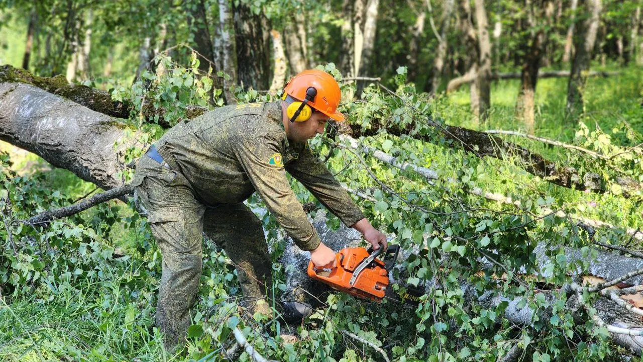 Фото: t.me/mosoblcomles