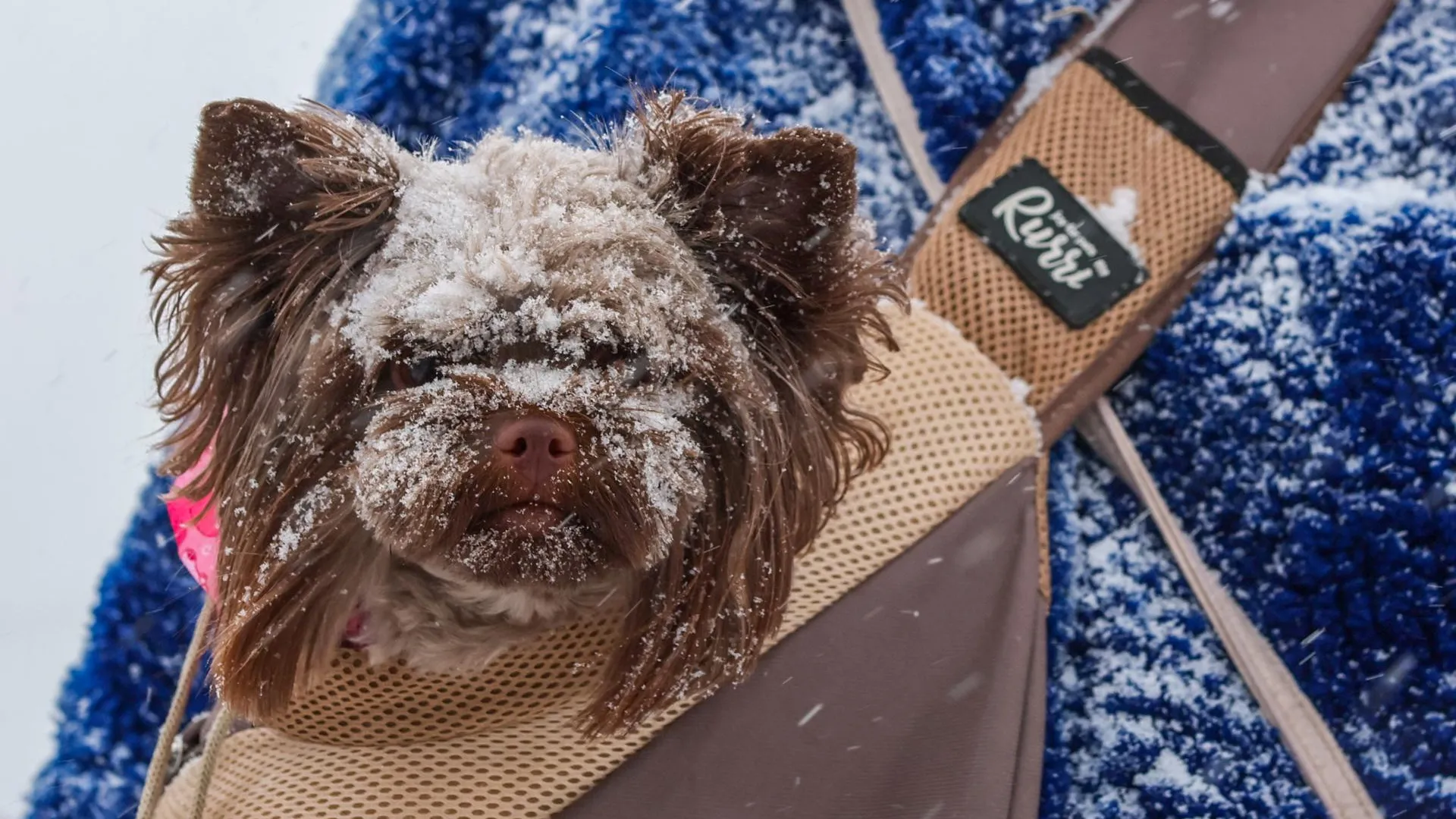 Belkin Alexey/news.ru