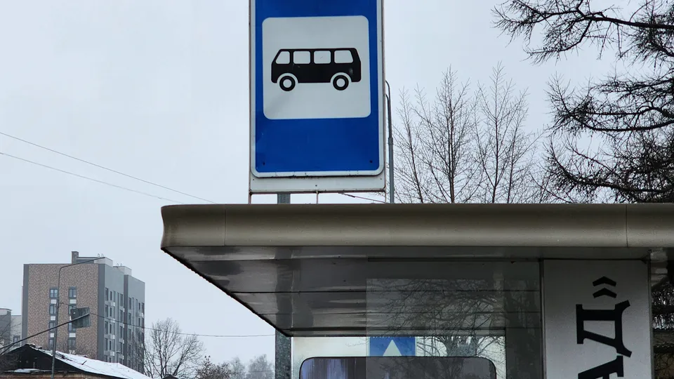 Фото: Ксения Пашуто