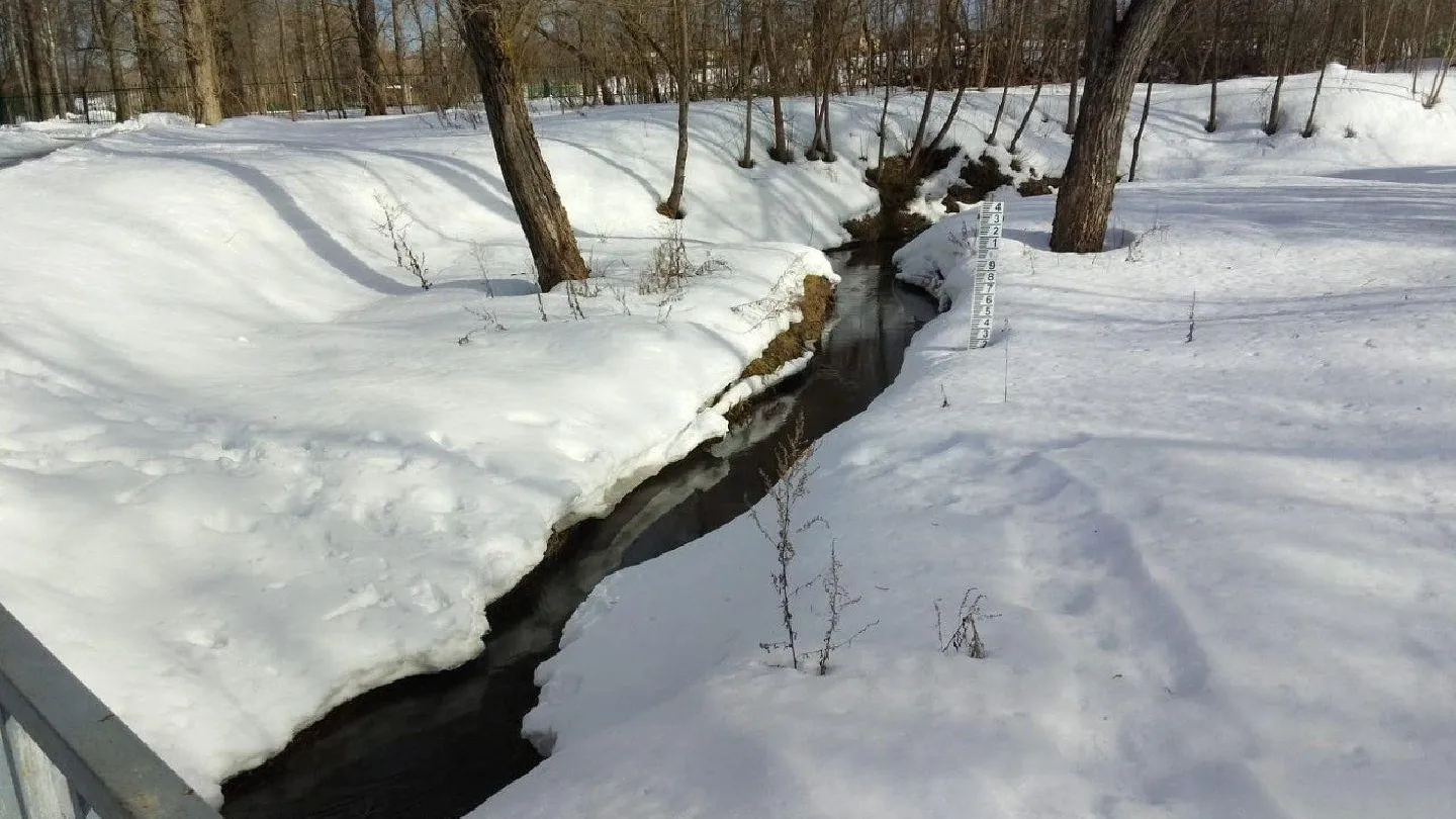 МедиаБанк Подмосковья/Яна Шаливская