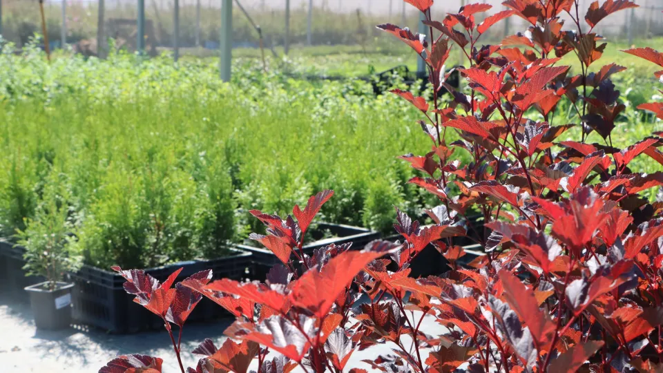 Фото: МедиаБанк Подмосковья/Ирина Матвеева