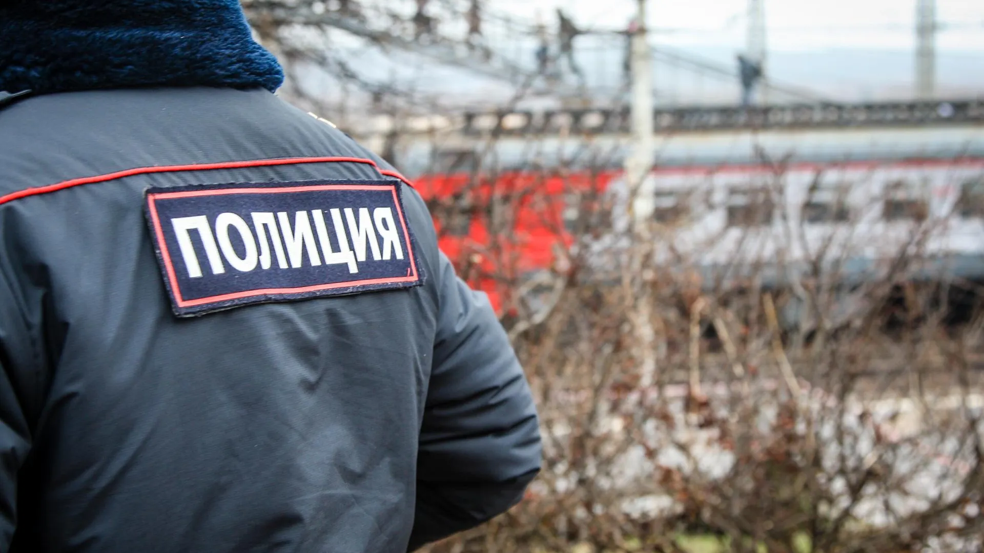 Виталий Ватулин