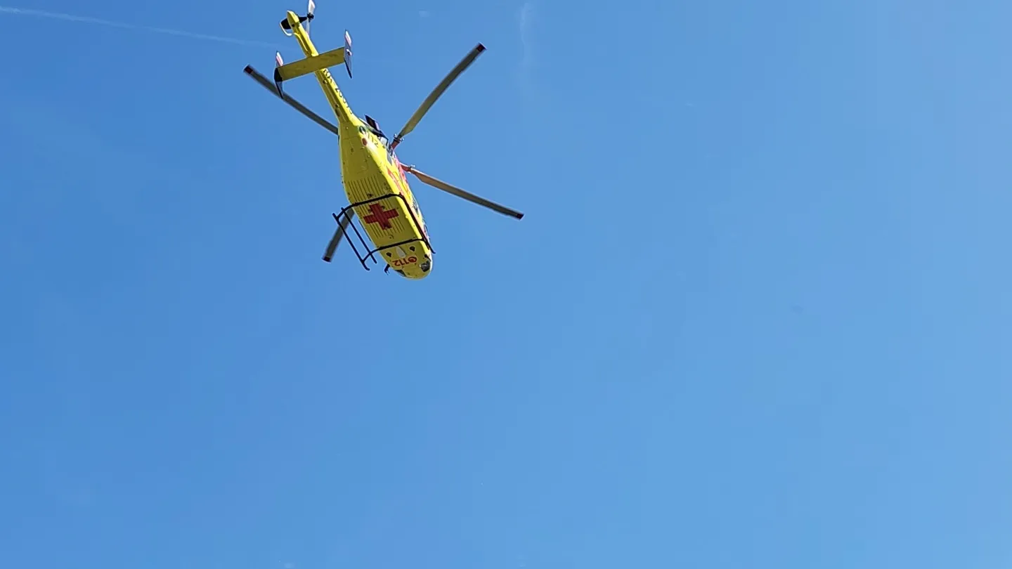 Фото: МедиаБанк Подмосковья/Никита Сморкалов