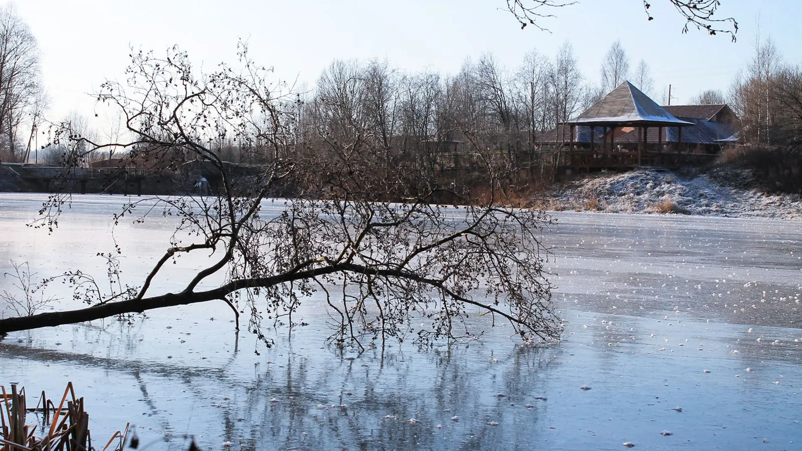 Фото: медиасток.рф