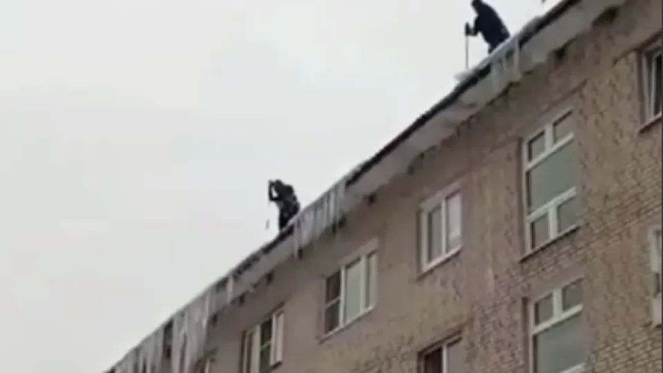 Фото: пресс-служба адмнистрации г. о. Черноголовка