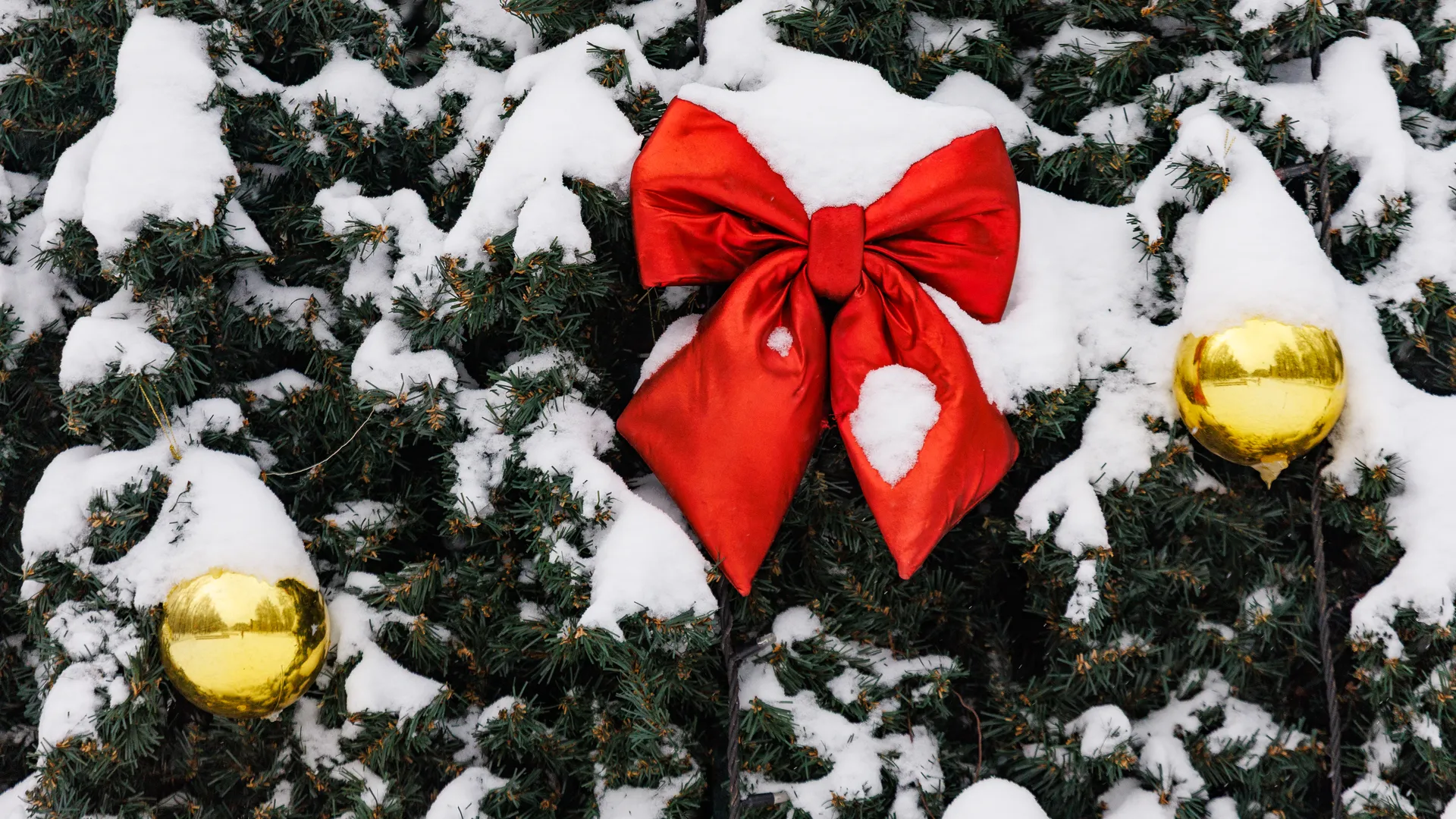 медиасток.рф