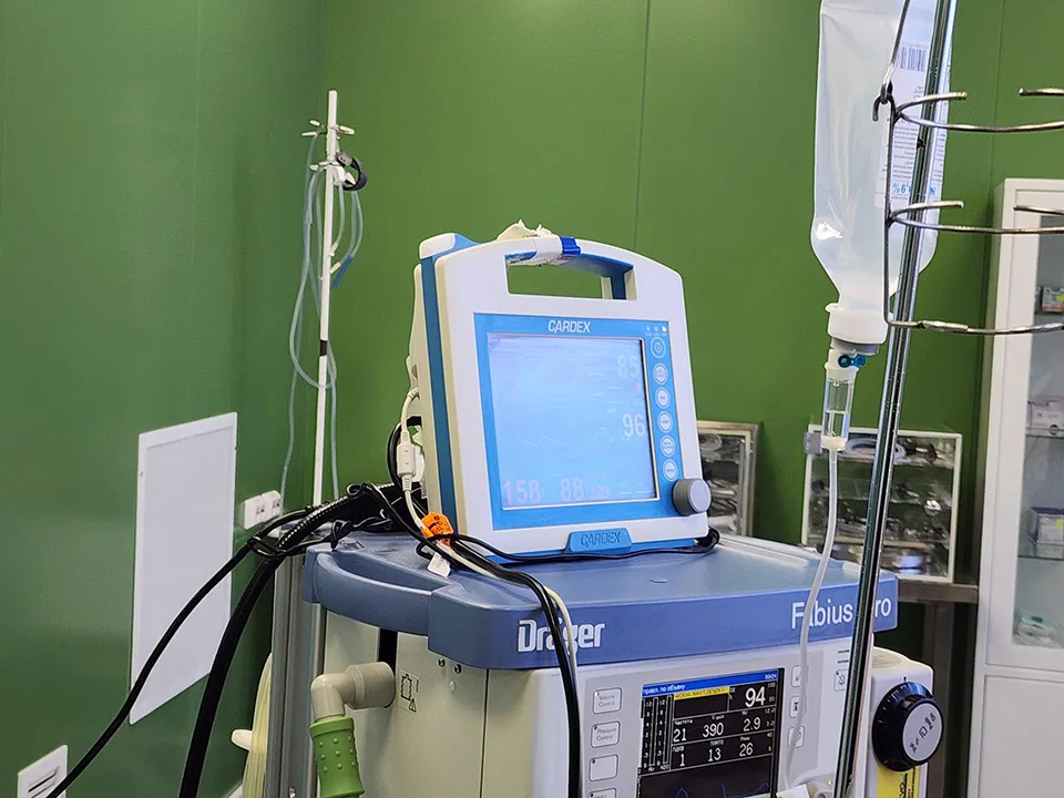 Фото: Оксана Лапшина