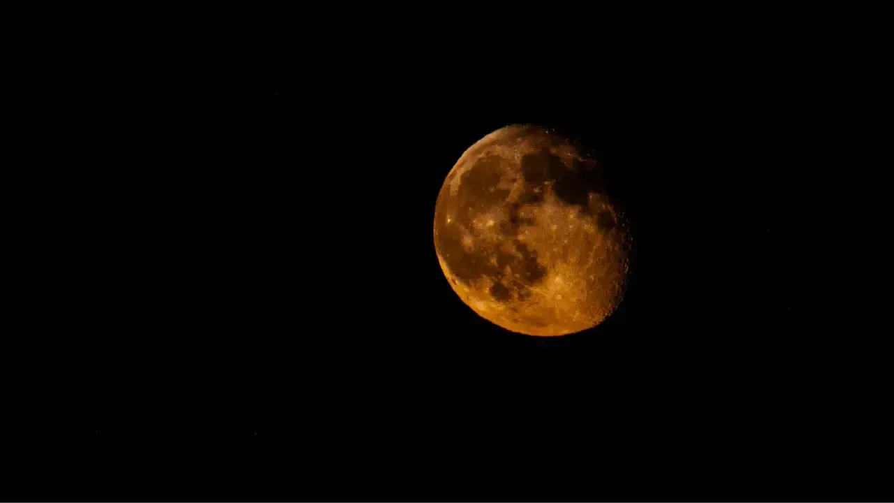 REGIONS/Роман Малышенко