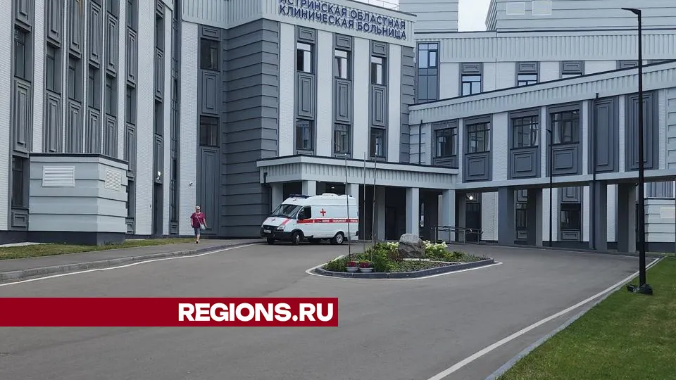 Фото: Светлана Борщева